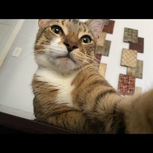 Meet your Posher, Kristen